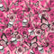 Global Novelties Vibrator Love Toy PRINTS CHARMING BUZZED BLAZING BEAUTY Multicolours