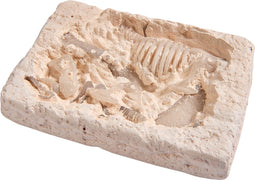 Glow in the Dark T-Rex Opgravingsset