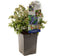 Vaccinium Corymbosum Blauwe Bes