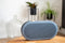 Dali Katch G2 - Bluetooth Speaker - 50W - Blauw