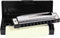 Cascha Mondharmonica Blues C