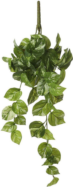 Decoratieve plant Mica Decorations Potos 14 x 58 x 20 cm Hanger