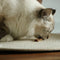 I Love Happy Cats Kauwsnacks - Rund - 70gr