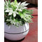RIVIERA GRANIT BOULE ronde bloembak - Kunststof - Diameter 50 cm - Wit