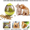 Honden Speelgoed Voerbal - Snack Dispenser - Voerei - Groen - 12 cm