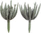 J-Line kunstplant Echeveria - kunststof - groen - medium - 2 stuks