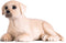 Mojo Farmland Labrador Puppy - 387272