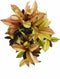 Goed & Groen - Croton Iceton - ↨ 120cm - Potmaat 27 - Exclusieve Kwaliteit Planten - Kamer Plant - Kamerplanten - Sfeer - Interieur