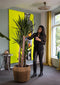 Goed & Groen - Dracaena Cintho - Drakenbloedboom - XL -↨ 150cm - Potmaat 27 - Exclusieve Kwaliteit Planten - Kamer Plant - Kamerplanten - Sfeer - Interieur