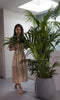 Goed & Groen - Dypsis Lutescens (Areca) - Goudpalm - XL -↨ 160cm - Potmaat 27 - Exclusieve Kwaliteit Planten - Kamer Plant - Kamerplanten - Sfeer - Interieur
