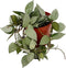 Goed & Groen - Hoya krohniana 'Eskimo' - ↨ 10cm - Potmaat 9 - Exclusieve Kwaliteit Planten - Kamer Plant - Kamerplanten - Sfeer - Interieur