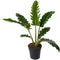 Goed & Groen - Philodendron Narrow - ↨ 70cm - Potmaat 19 - Exclusieve Kwaliteit Planten - Kamer Plant - Kamerplanten - Sfeer - Interieur