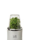 Fritel BG 1310 - Mini-blender - 4 bekers - Zilvergrijs