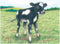 Goki Houten Blokpuzzel Boerderij