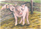 Goki Houten Blokpuzzel Boerderij