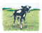 Goki Houten Blokpuzzel Boerderij