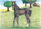 Goki Houten Blokpuzzel Boerderij