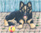 Goki Houten Blokpuzzel Boerderij