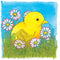 Goki Houten Lagenpuzzel - Kip