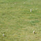 Goki Schaakspel KUBB Vikingen Medium