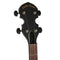 Gold Tone Akoestische banjo AC-1