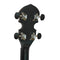Gold Tone Akoestische banjo AC-1
