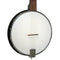 Gold Tone Akoestische banjo AC-1