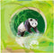 Goldbuch - Fotoalbum Panda - 25x25 cm