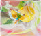 Goldbuch - Fotoalbum Parrot - 2 rings - 28x25,5 cm