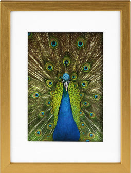 Goldbuch - Fotolijst Pino - Goud - 10x15 cm (15x20 cm)
