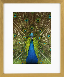 Goldbuch - Fotolijst Pino - Goud - 13x18 cm (20x25 cm)