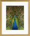 Goldbuch - Fotolijst Pino - Goud - 13x18 cm (20x25 cm)