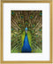 Goldbuch - Fotolijst Pino - Goud - 13x18 cm (20x25 cm)