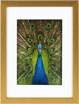 Goldbuch - Fotolijst Pino - Goud - 9x13 cm (13x18 cm)