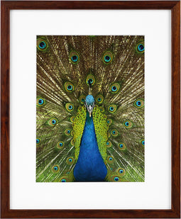 Goldbuch - Fotolijst Pino - Mahonie - 13x18 cm (20x25 cm)