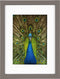 Goldbuch - Fotolijst Pino - Taupe - 10x15 cm (15x20 cm)