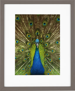 Goldbuch - Fotolijst Pino - Taupe - 13x18 cm (20x25 cm)