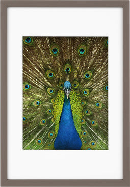 Goldbuch - Fotolijst Pino - Taupe - 15x20 cm (20x30 cm)