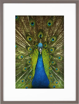 Goldbuch - Fotolijst Pino - Taupe - 20x30 cm (30x40 cm)
