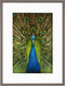 Goldbuch - Fotolijst Pino - Taupe - 20x30 cm (30x40 cm)