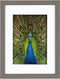 Goldbuch - Fotolijst Pino - Taupe - 9x13 cm (13x18 cm)