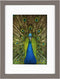 Goldbuch - Fotolijst Pino - Taupe - 9x13 cm (13x18 cm)