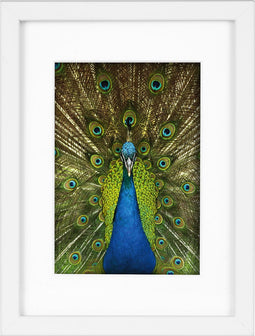 Goldbuch - Fotolijst Pino - Wit - 10x15 cm (15x20 cm)