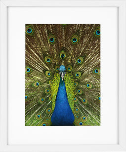 Goldbuch - Fotolijst Pino - Wit - 13x18 cm (20x25 cm)