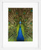 Goldbuch - Fotolijst Pino - Wit - 13x18 cm (20x25 cm)
