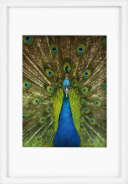 Goldbuch - Fotolijst Pino - Wit - 15x20 cm (20x30 cm)