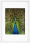 Goldbuch - Fotolijst Pino - Wit - 15x20 cm (20x30 cm)
