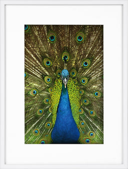 Goldbuch - Fotolijst Pino - Wit - 20x30 cm (30x40 cm)