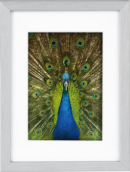 Goldbuch - Fotolijst Pino - Zilver - 10x15 cm (15x20 cm)