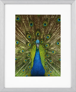Goldbuch - Fotolijst Pino - Zilver - 13x18 cm (20x25 cm)
